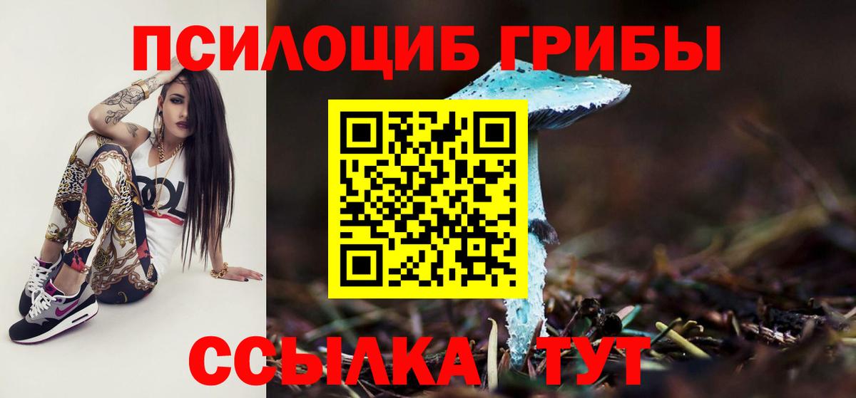 Псилоцибиновые грибы Magic Shrooms  Вход с VPN  наркота  Великий Новгород 